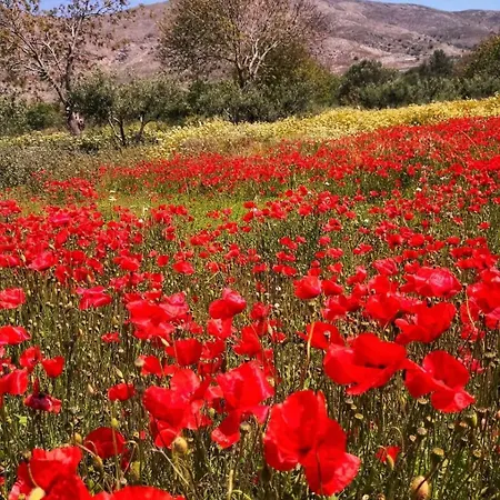 Pano Chorio Tilos * Megálon Choríon